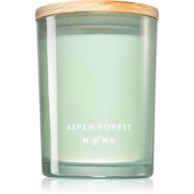 Makers of Wax Goods Aspen Forest αρωματικό κερί 420 γρ