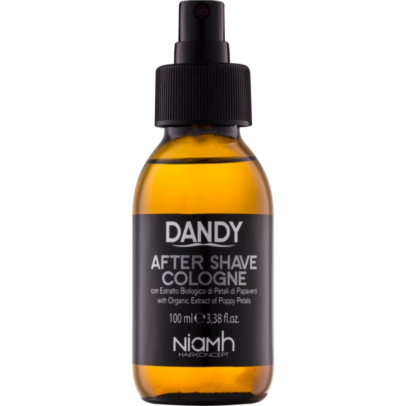 DANDY After Shave νερό για μετά το ξύρισμα 100 ml