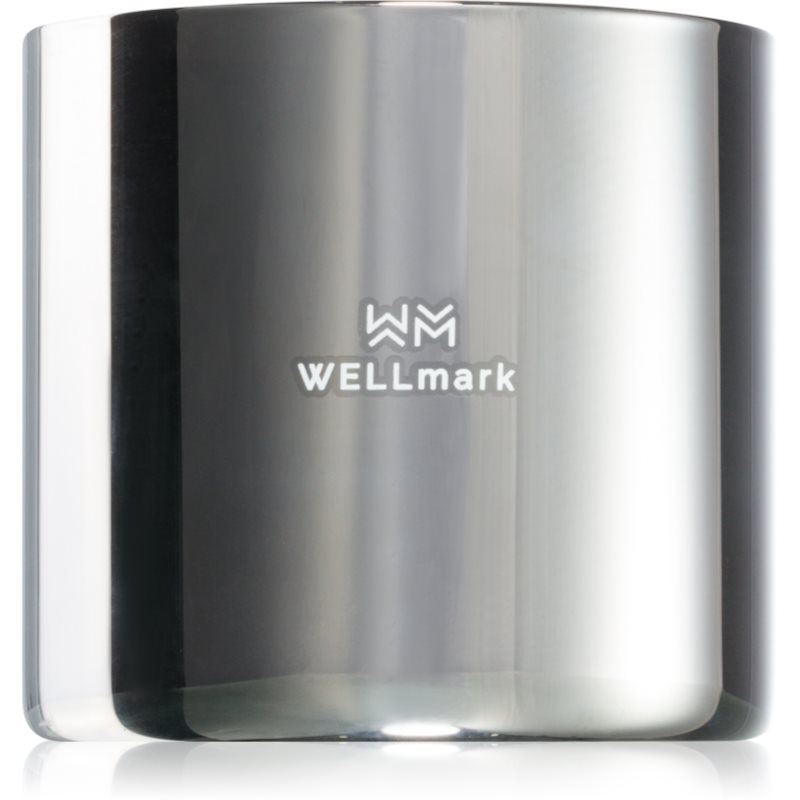 Wellmark Bold Future αρωματικό κερί 1 τμχ