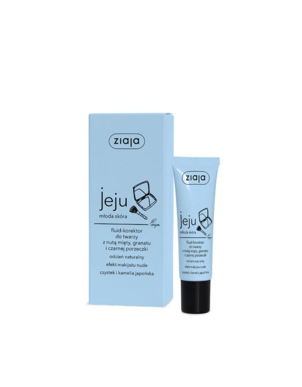 Ziaja Jeju Face Fluid-Concealer (30ml)