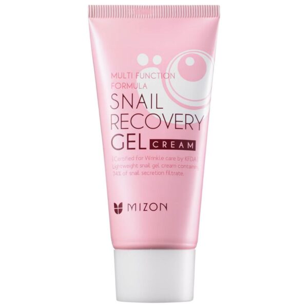 Mizon Multi Function Formula Snail Recovery Gel Cream (45ml)