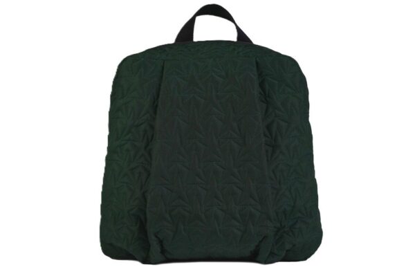 Bleecker & Love Stars Racing Green Backpack (Mini)